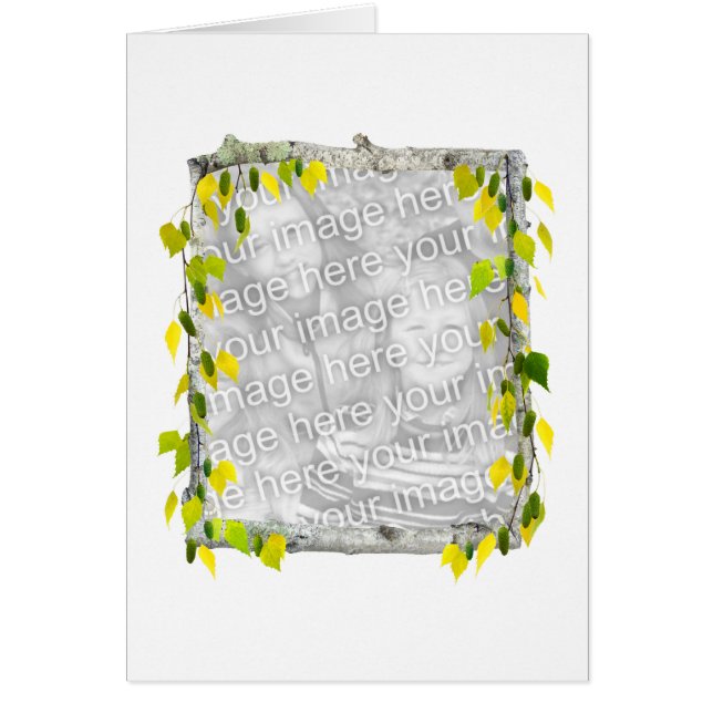 Björkfotokort Hälsningskort (Framsidan)