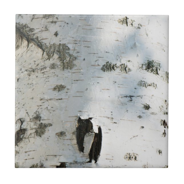 Björkskällmönster Kakelplatta (Framsidan)