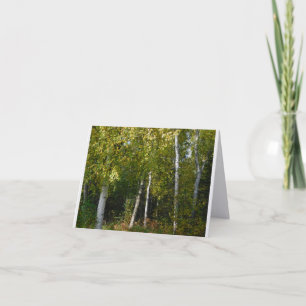 Björkträd Faltat Kort
