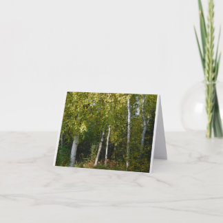 Björkträd Faltat Kort
