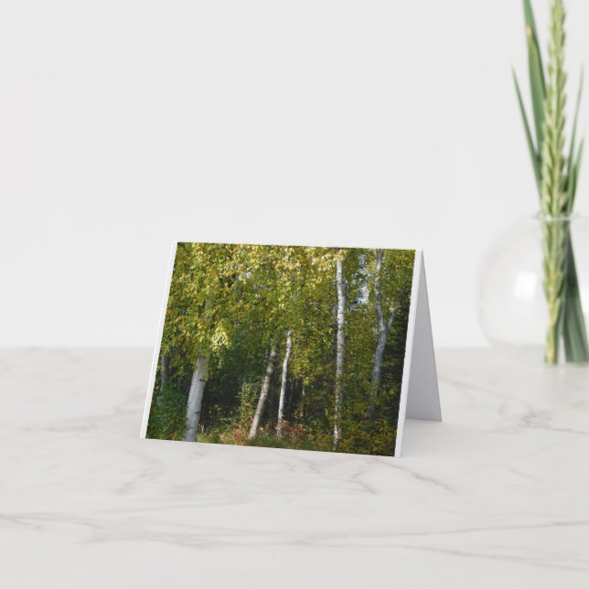 Björkträd Faltat Kort (Framsida)
