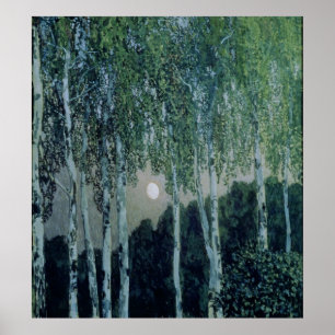 Björkträd Poster