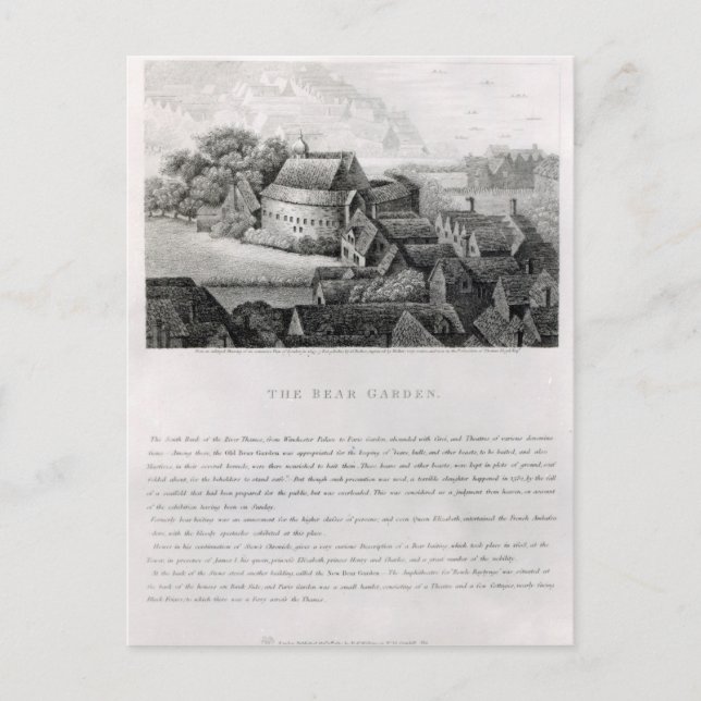 Björn, 1647 vykort (Framsida)