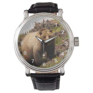 björn armbandsur
