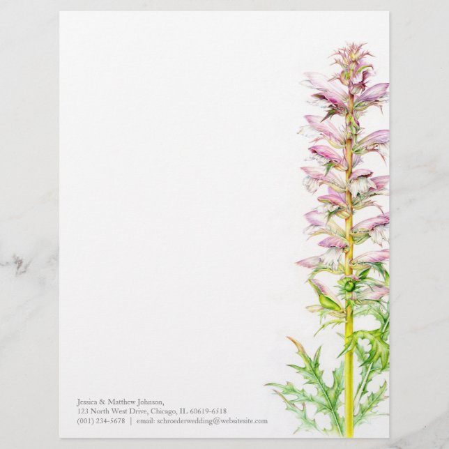 Björn brevhuvud för konst för vattenfärg för grönt (Framsida)