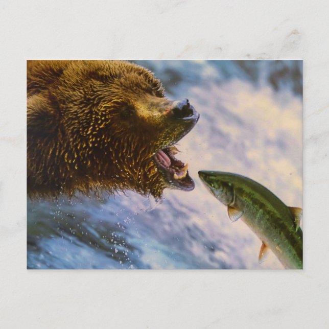 BJÖRN FISK VILD DJUR POSTCROSSING VYKORT (Framsida)