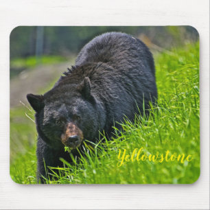 Björn för musVaddera-Yellowstone svart Musmatta