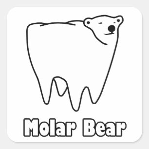 Björn för tand för kindtandbjörn polar fyrkantigt klistermärke