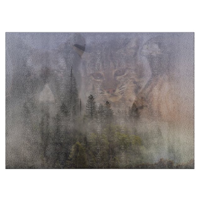 Björn, Hawk och Bobcat (Framsidan)