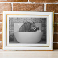 Björn i badkaret Bathtub Animal