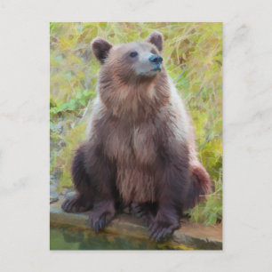 Björn i Bern Bear Park Vykort