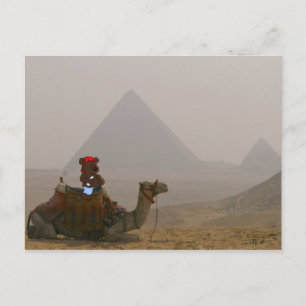 "Björn i Egypten" vykort