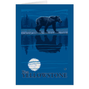 Björn i månsken - västra Yellowstone, Montana Hälsningskort
