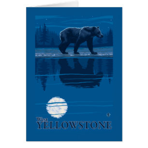 Björn i månsken - västra Yellowstone, Montana Hälsningskort