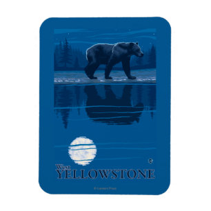 Björn i månsken - västra Yellowstone, Montana Magnet