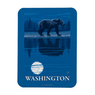 Björn i månsken - Washington Magnet