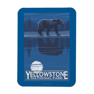 Björn i månsken - Yellowstone nationalpark Magnet
