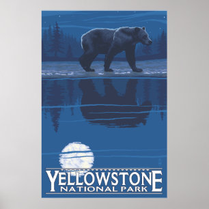 Björn i Moonlight - nationalparken Yellowstone Poster