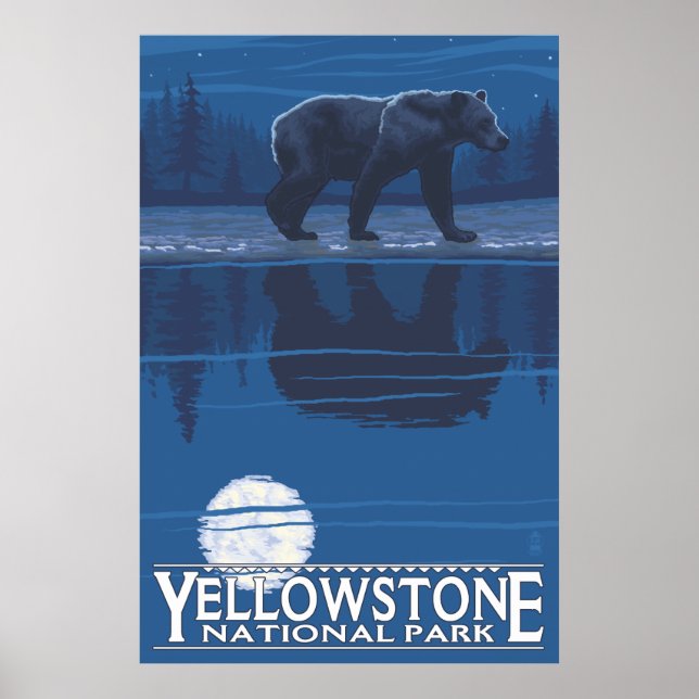 Björn i Moonlight - nationalparken Yellowstone Poster (Framsidan)