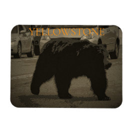 Björn i nationalparken Road Yellowstone WY Magnet