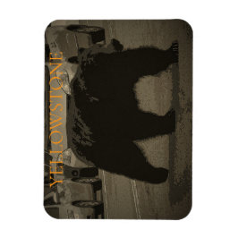 Björn i nationalparken Road Yellowstone WY Magnet