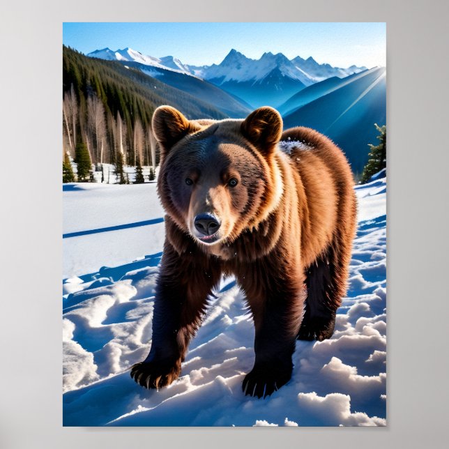 Björn i Snö Poster (Framsidan)