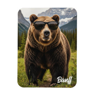 Björn i Sunglasses Banff National Park Kanada Magnet