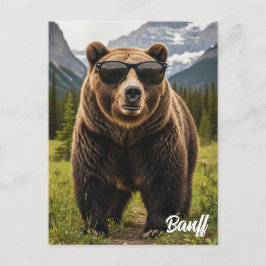 Björn i Sunglasses Banff National Park Kanada Vykort