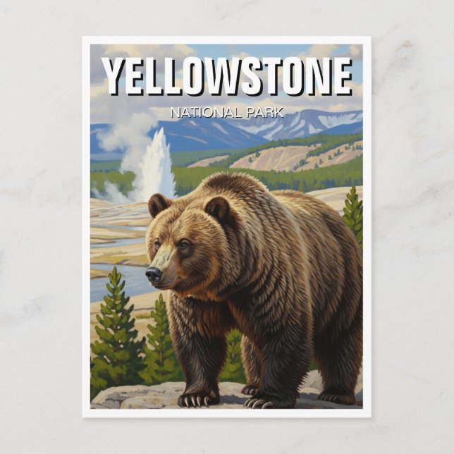 Björn i Yellowstone nationalpark Souvenir Vykort (Framsida)