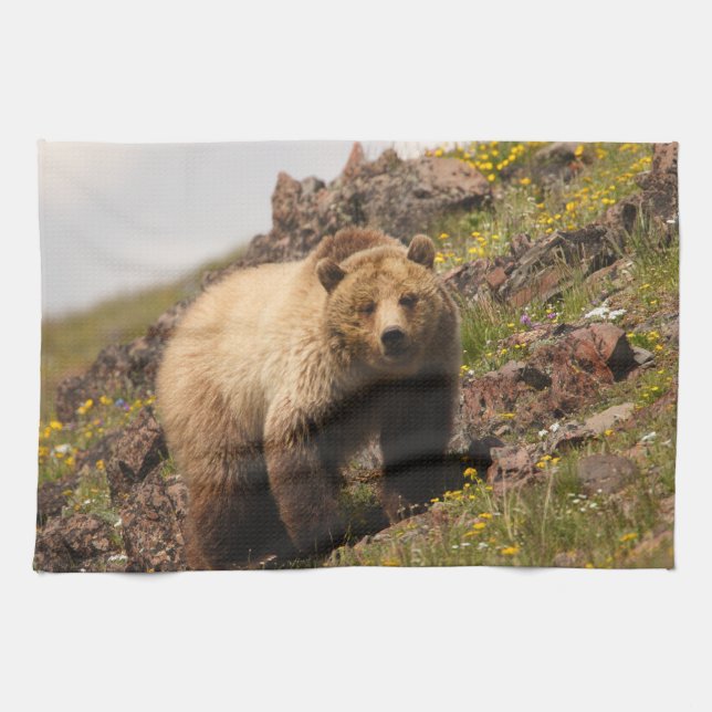 björn kökshandduk (Horisontell)