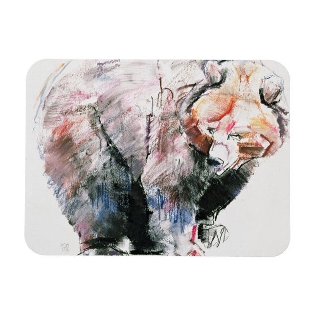 Björn Magnet (Horisontell)