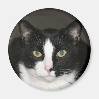 Björn Magnet