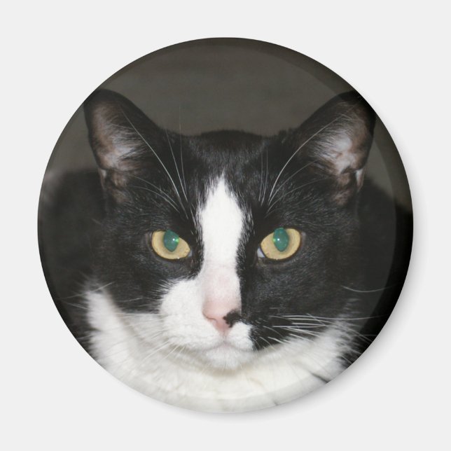 Björn Magnet (Framsidan)