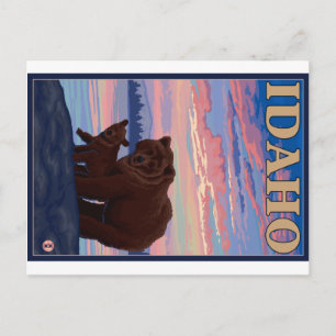 Björn och Unge - Idaho Vykort