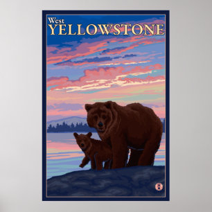 Björn och Unge - Väster Yellowstone, Montana Poster