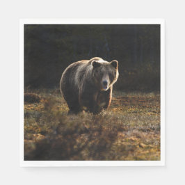 Björn Pappersservett