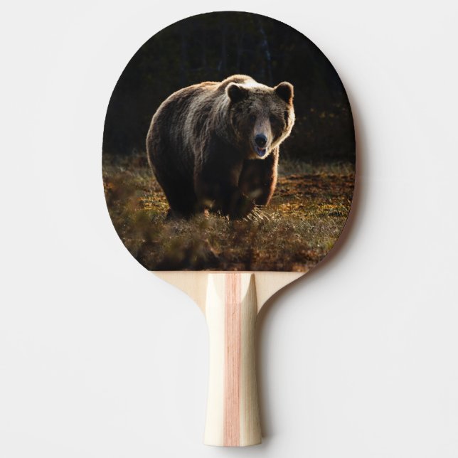 Björn Pingisracket (Framsidan)