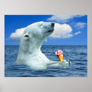 Björn som äter glass poster