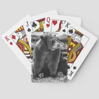 Björn som leker kort casinokort