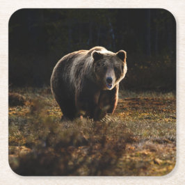 Björn Underlägg Papper Kvadrat