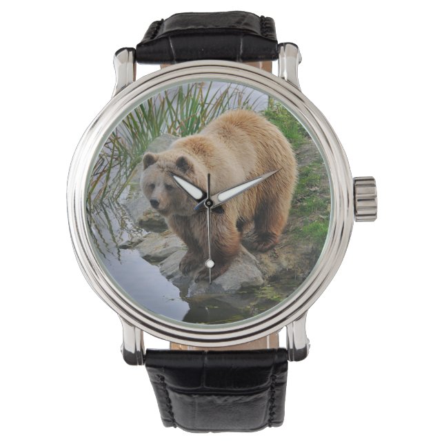 Björn vid en sjö armbandsur (Framsida)