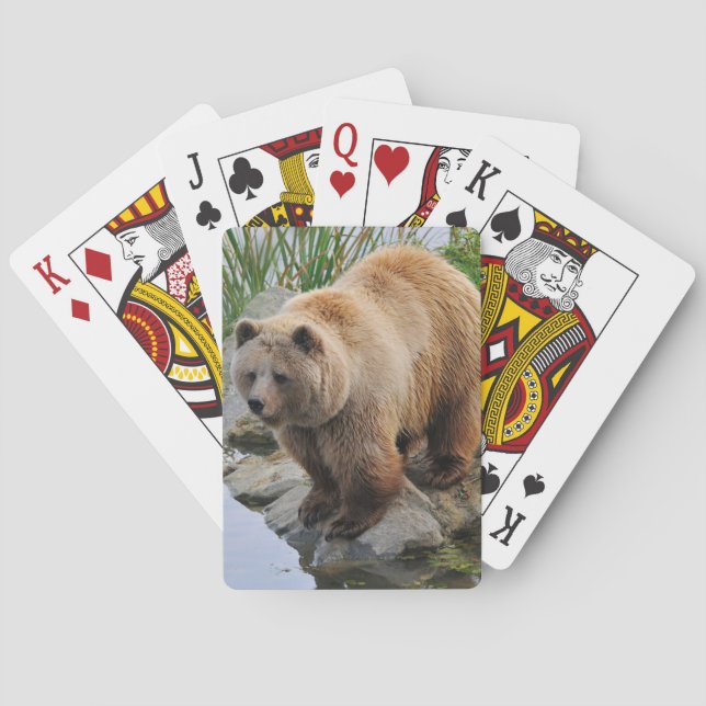 Björn vid en sjö casinokort (Baksidan)