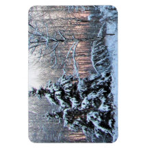 Björn vid Perennial Gardens. Northen Minnesota