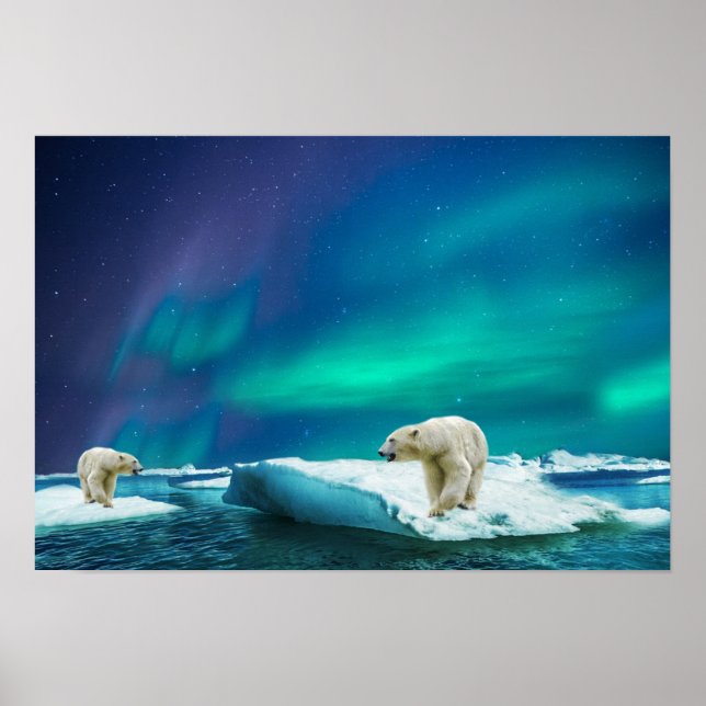 Björnar av poster Polar (Framsidan)