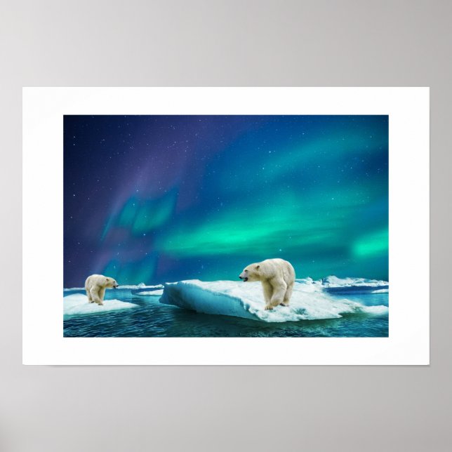 Björnar av poster Polar (Framsidan)
