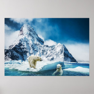 Björnar av poster Polar