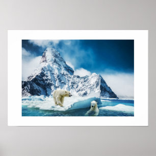 Björnar av poster Polar