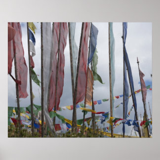 Björnar i flagga i bergsområden, Yotongla Pass Poster