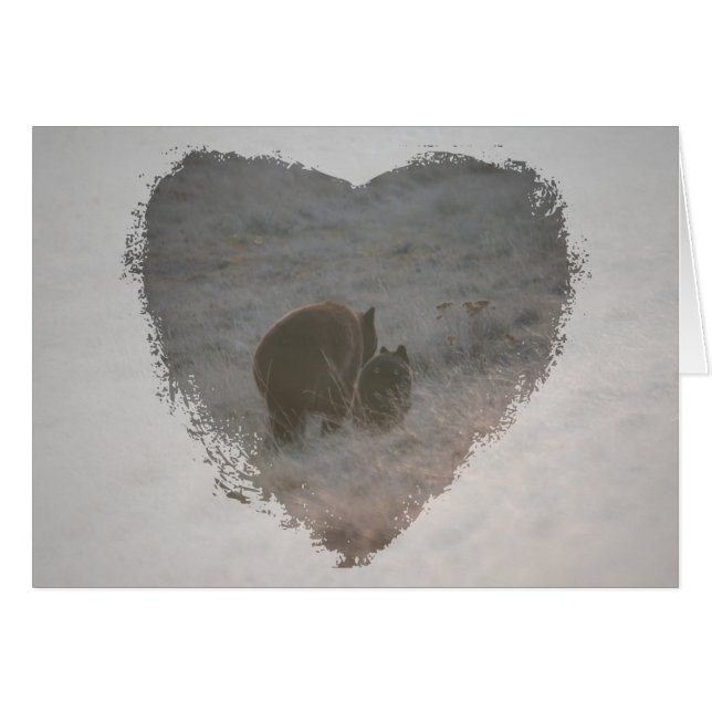 Björnar som går på solnedgången hälsningskort (Framsidan Horizontal)