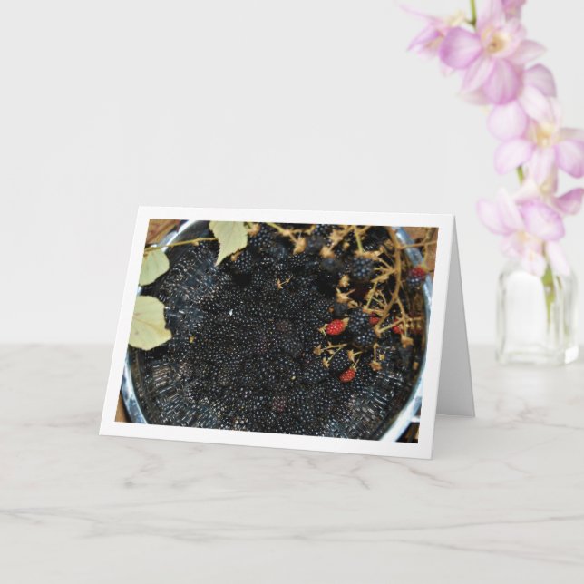 Björnbär i Colander Kort (Orkide)